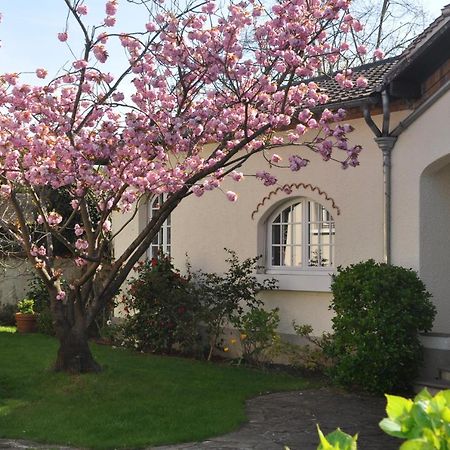 Maison D'Hotes Paris Riverside Saint-Maur-des-Fosses Bagian luar foto