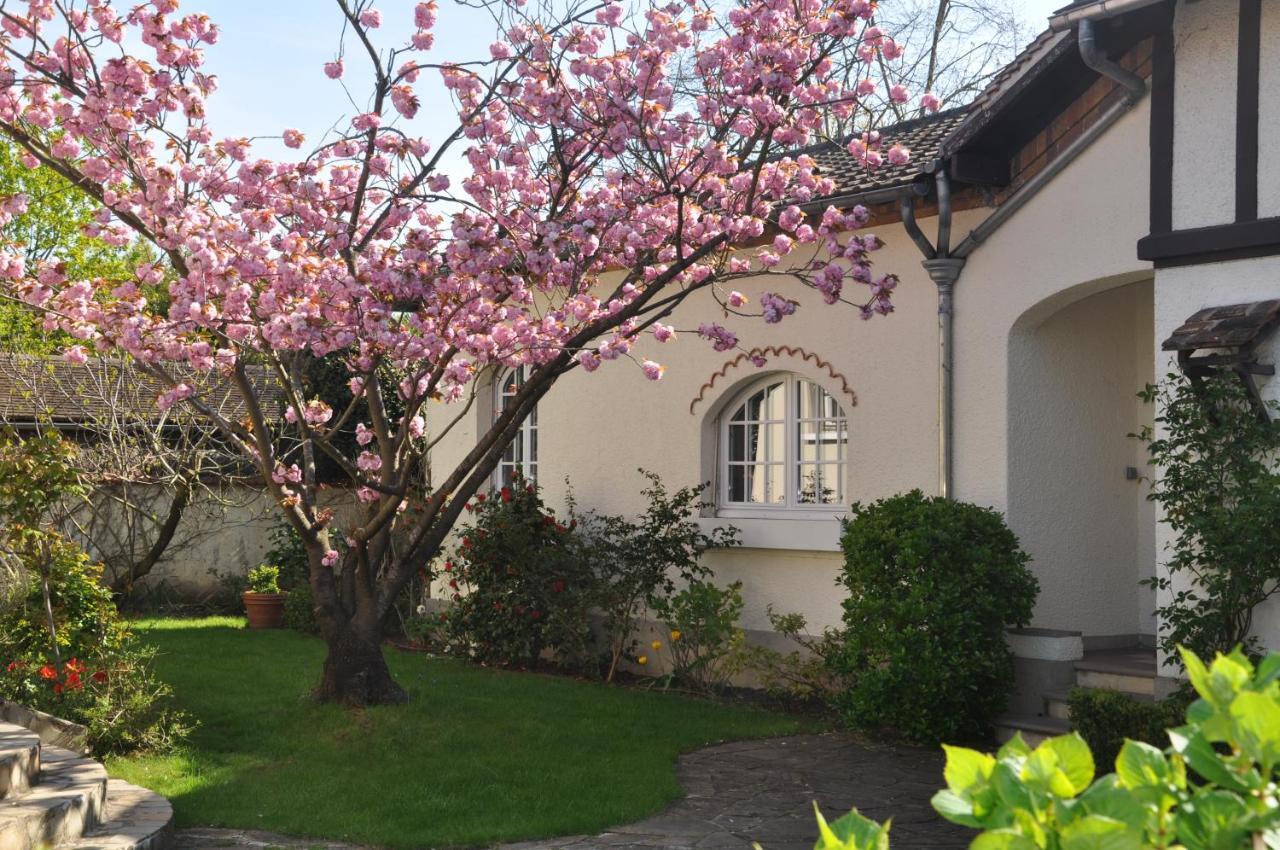 Maison D'Hotes Paris Riverside Saint-Maur-des-Fosses Bagian luar foto